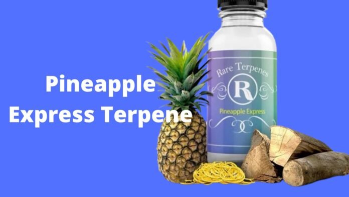 Pineapple Express terpene